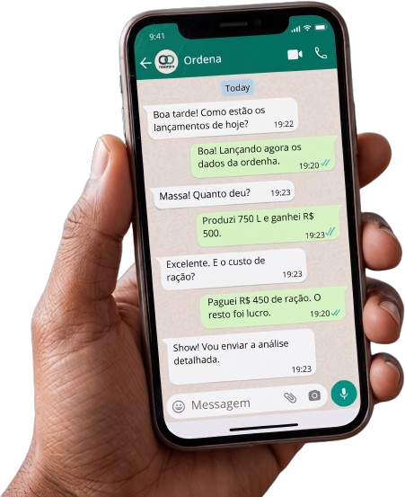 Conversa do Ordena no WhatsApp com lançamentos da fazenda
